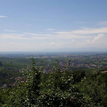 Ferienwohnung Birkental Ebringen Екстер'єр фото