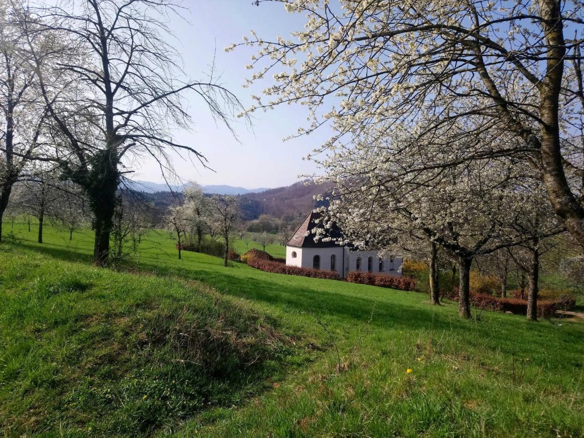 Ferienwohnung Birkental Ebringen Екстер'єр фото