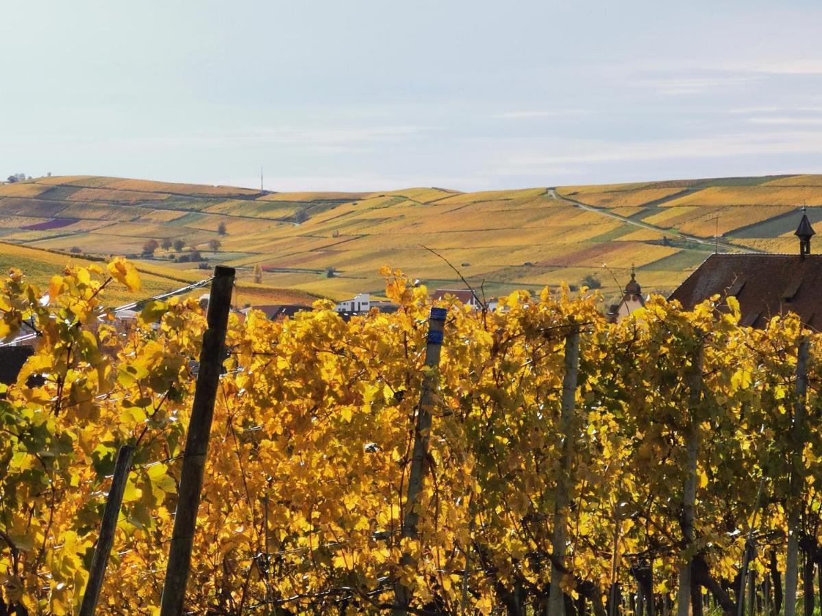 Ferienwohnung Birkental Ebringen Екстер'єр фото
