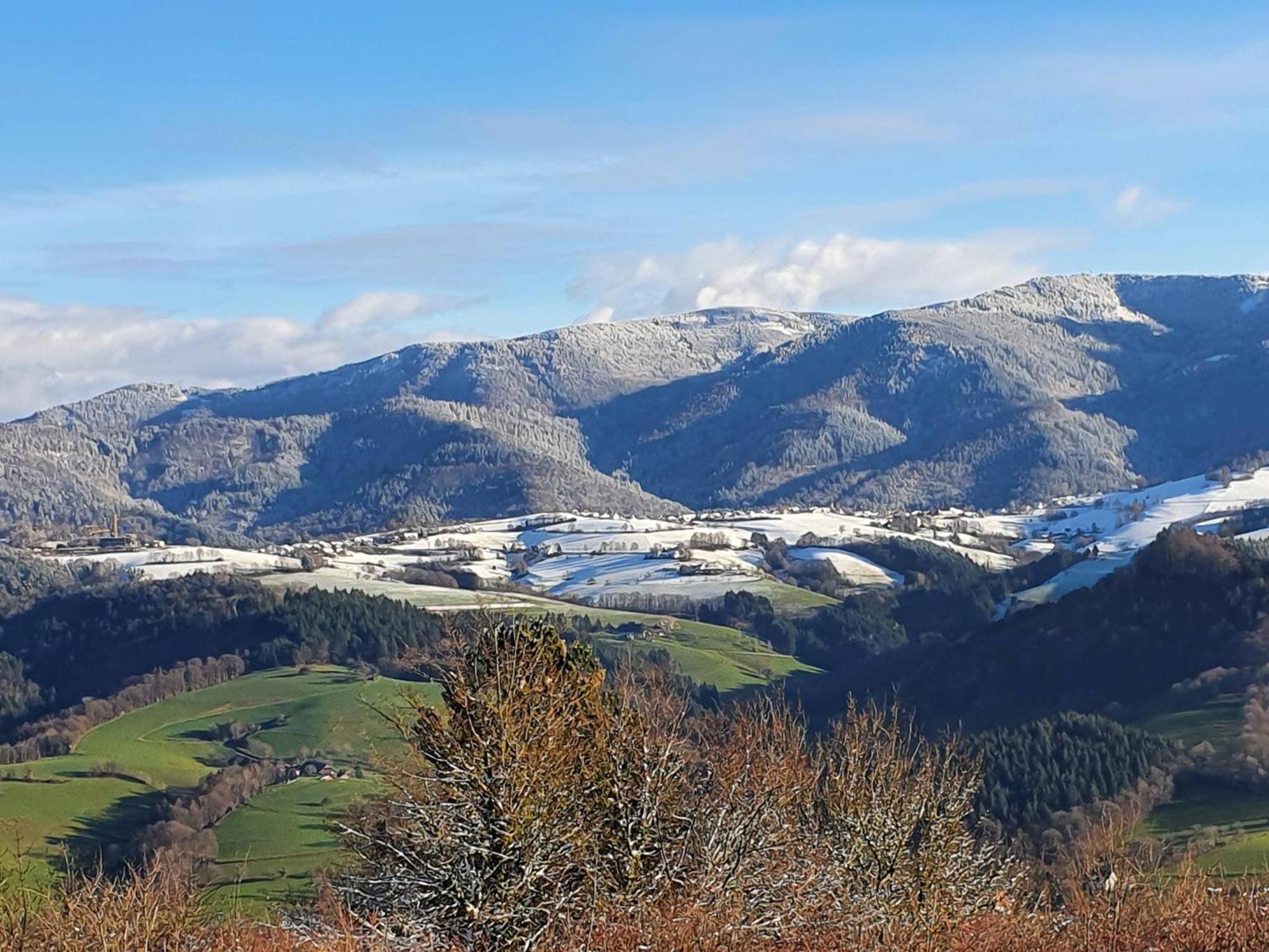 Ferienwohnung Birkental Ebringen Екстер'єр фото