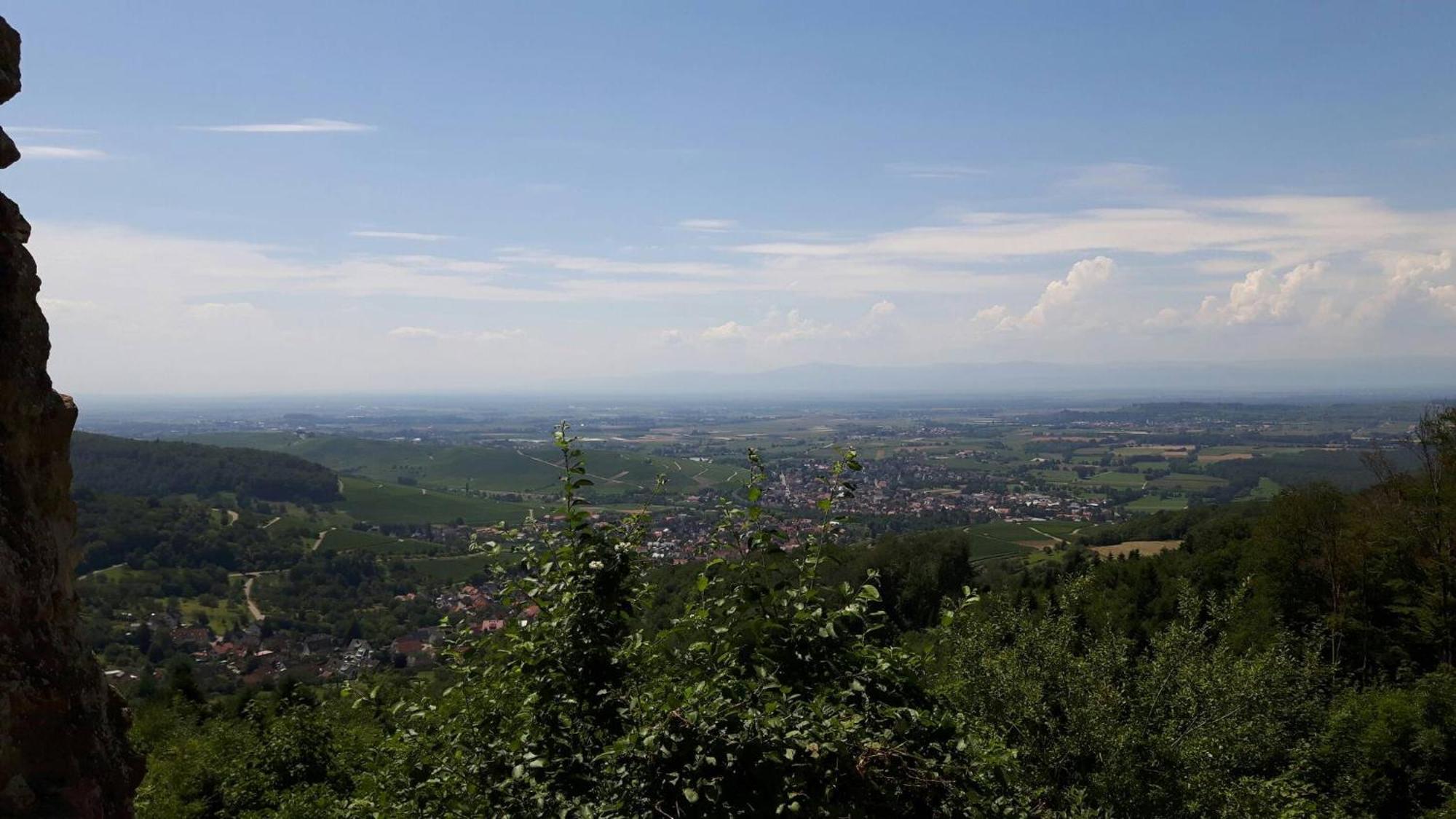 Ferienwohnung Birkental Ebringen Екстер'єр фото