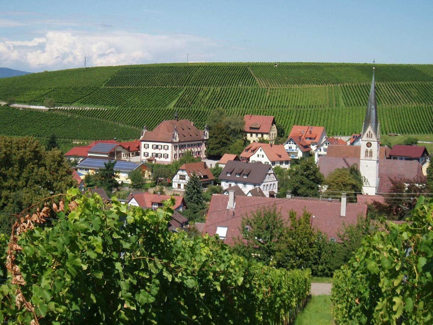 Ferienwohnung Birkental Ebringen Екстер'єр фото